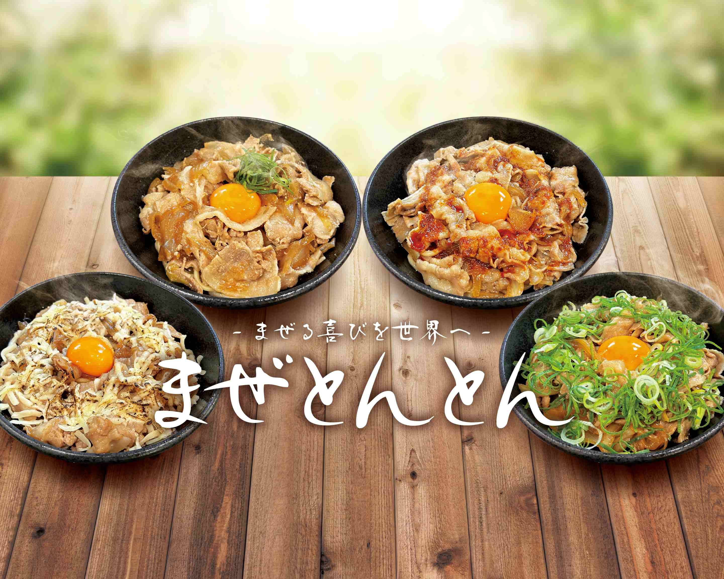 専用ZGMF-X09A10A様 5点まとめ買い X-Guard安全柵 - センターロック付きスライドドア | Axelent