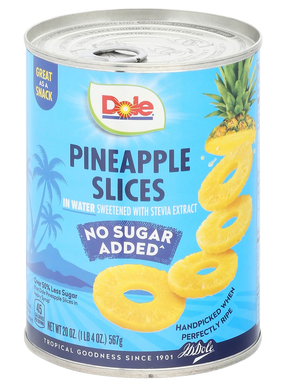 Dole No Sugar Added Pineapple Slices in Water (20 oz)