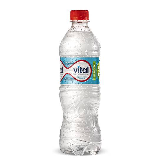 Vital Sin Gas 600ml