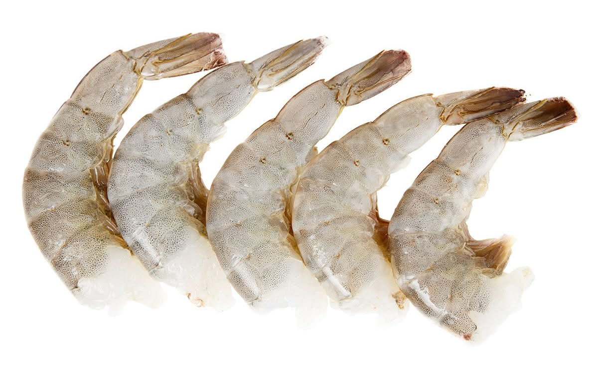 Crevettes 16 20 Precongelé / 16/20 Shrimp Previously Frozen