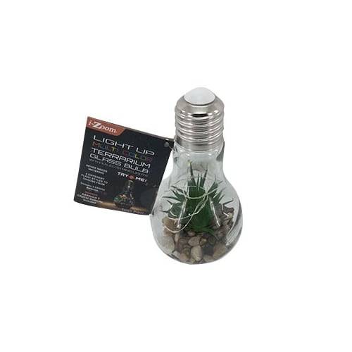 I-Zoom Multi Color Terrarium Glass Bulb (1 ct)