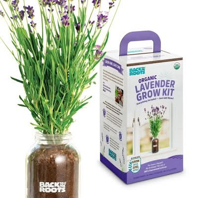 Back to the Roots Lavender Organic Windowsill Planter Kit