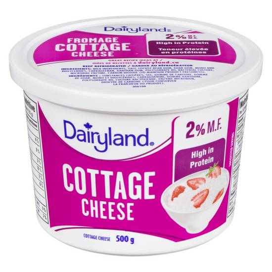 Dairyland Cottage Cheese 2% (500 ml)