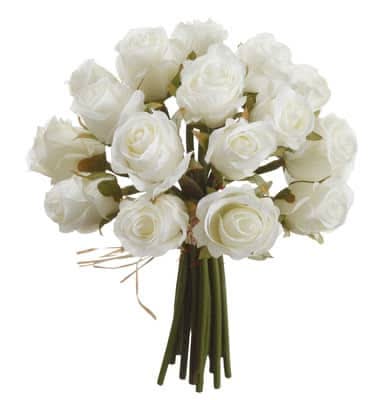 Ashland Rose Bundle, 8 in, White
