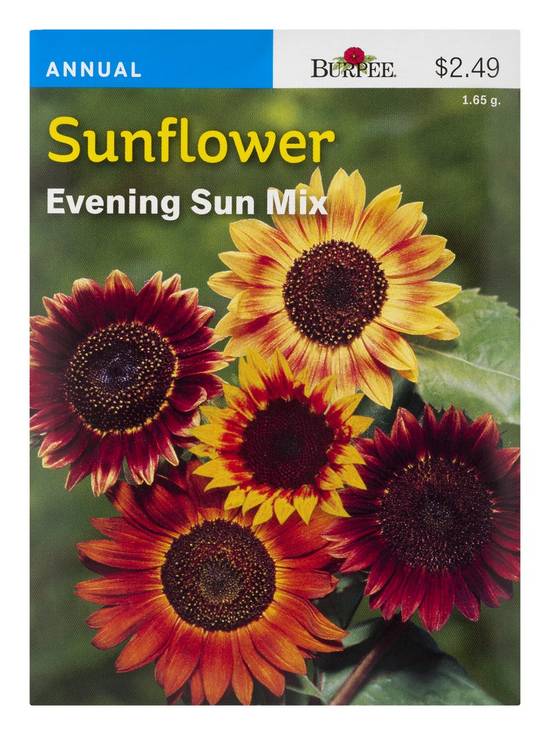 Burpee Sunflower Evening Sun Seeds Mix (1 ct)