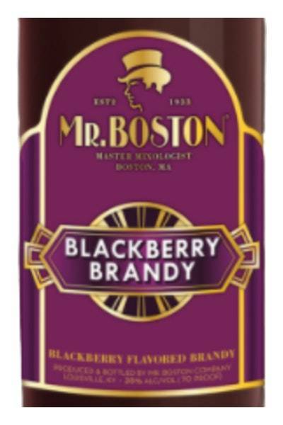 Mr. Boston Blackberry Brandy (50ml bottle)