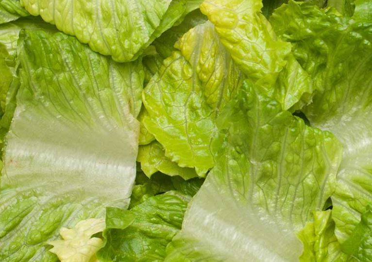 Chopped Romaine Lettuce - 2 lbs