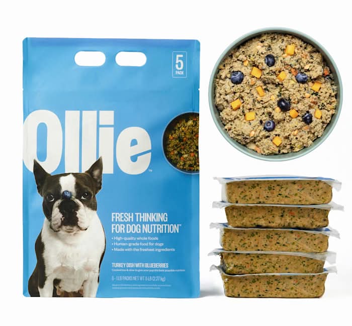 Ollie Fresh Turkey Dish with Blueberries Fresh Frozen Dog Food, 5 lbs.
