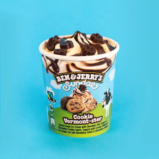 Ben & Jerry's Ice Cream Tub Cookie Vermont-Ster Sundae (427ml)