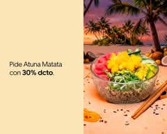 Honua Poke (Santiago)