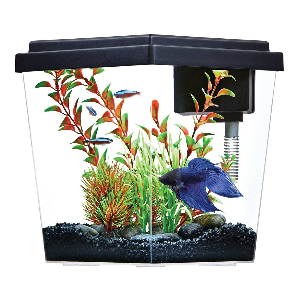 Top Fin Diamond Aquarium (10.4 in x 13 in x 8.4 in )