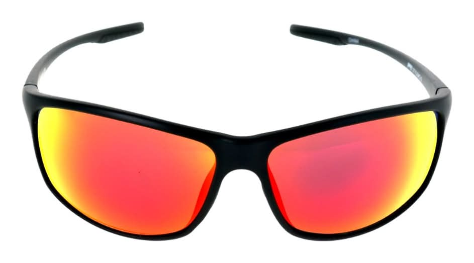 Pugs Gear Classic Sunglasses