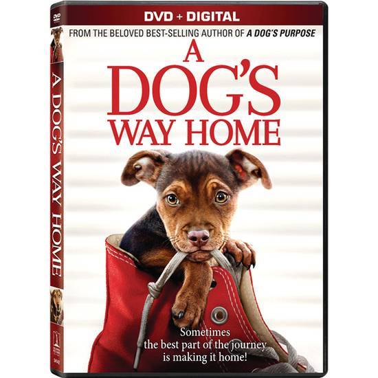 A Dog's Way Home Dvd + Digital