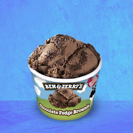 Ben & Jerry's Chocolate Fudge Brownie (100 ml)