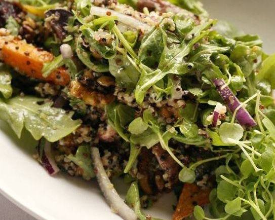 Quinoa Salad | Catering