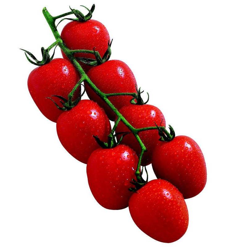 Bio tomate cerise BIO 250g