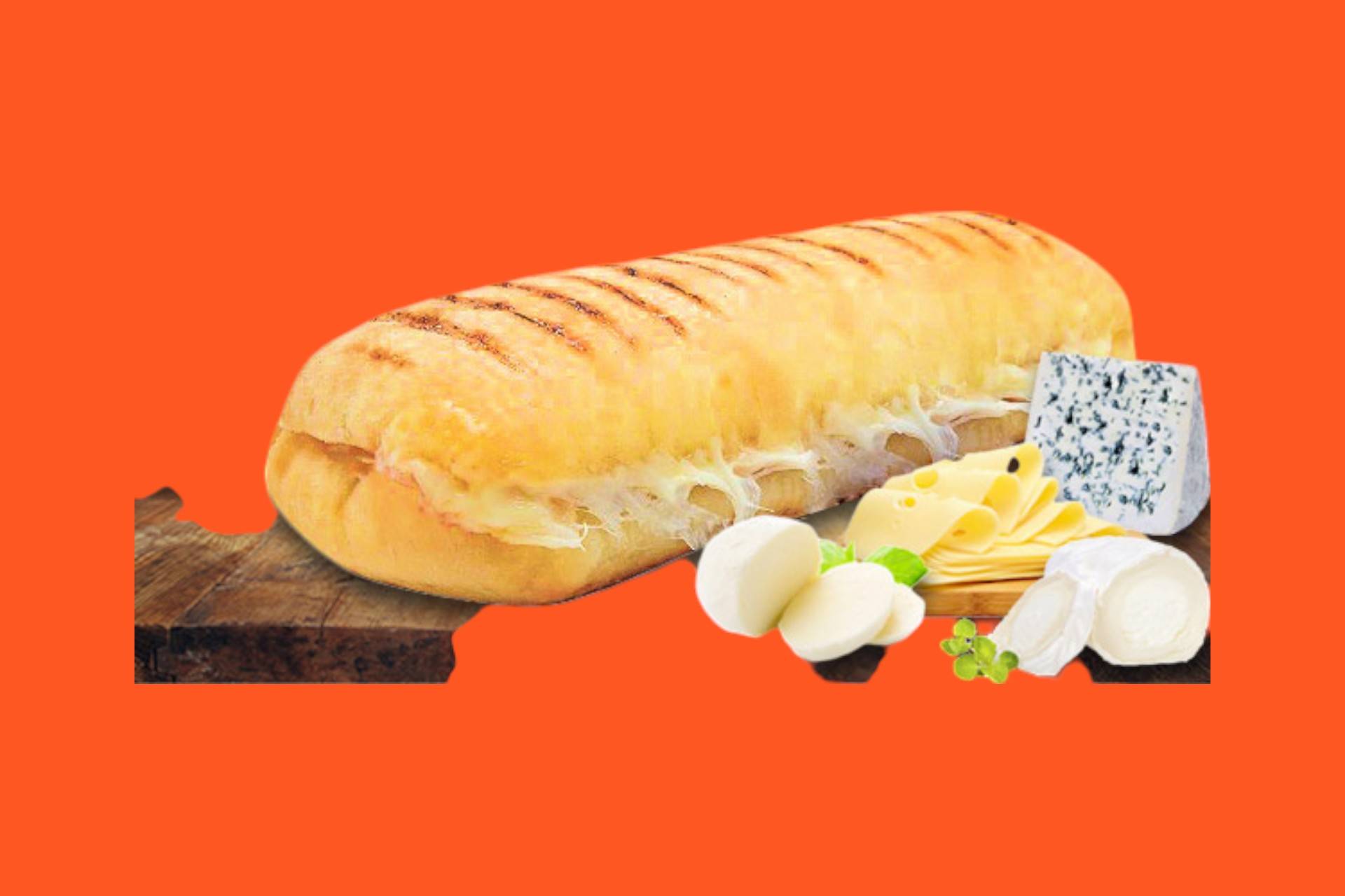 🌯Panini🌯