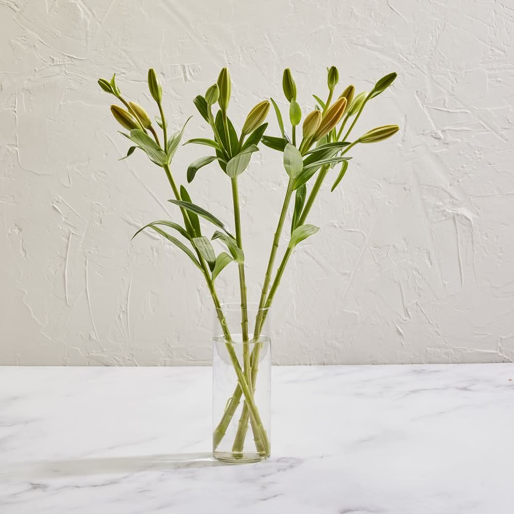 Asiatic Lilium Bunch