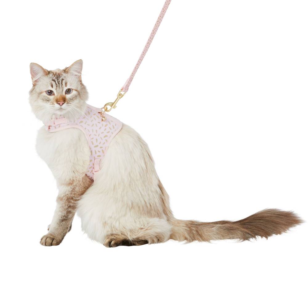 Whisker City Cat Leash & Harness Combo (pink-gold)