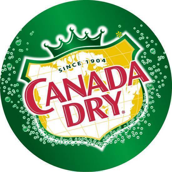 244. Canada Dry Ginger Ale (500 ml)