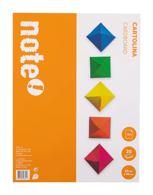 Bloco de Cartolinas 24 x 32cm 20 Folhas Note!