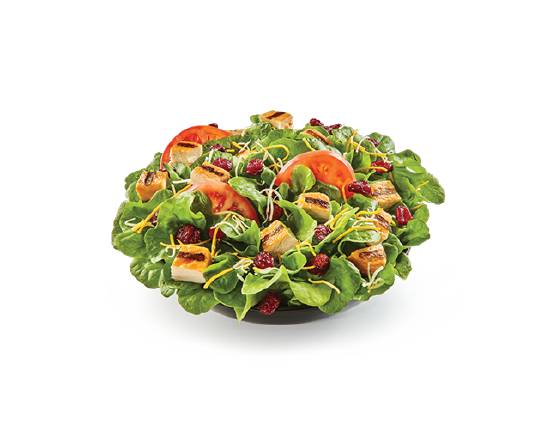 Salanova Cranberry Chicken Salad
