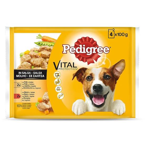 Alimento para Perros Mix con Pollo y Buey Pedigree Bolsa 4 X (100 g)