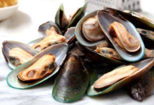 Frozen New Zealand Green Lip Half Shell Mussles - IQF, blanched, 2 lb box