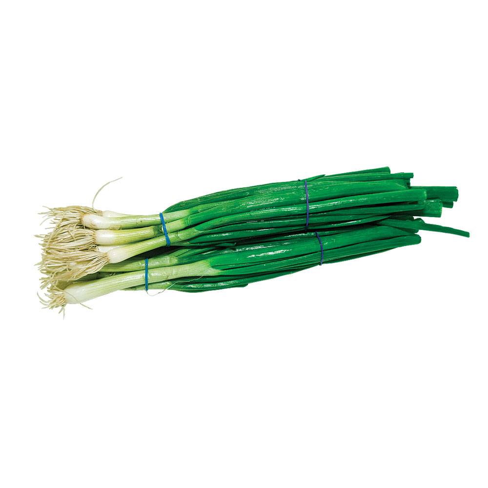 Big green onion