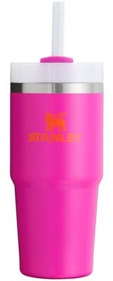 Stanley Stainless Steel H2.0 Flow State Quencher Tumbler 14 oz For Kids, Vivid Violet
