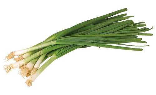 Green Onions (Scallions)