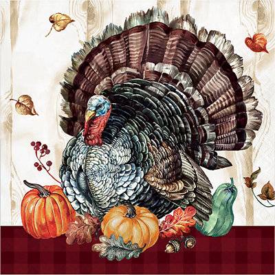 Signature Select Timeless Turkey Lunch Napkins - 16 Count