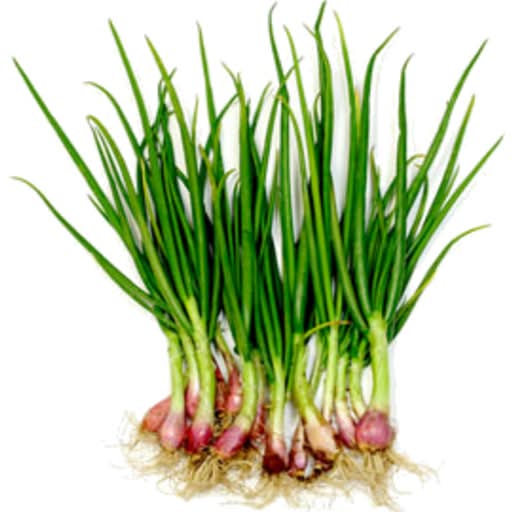 Onions Shallots Green Bunch