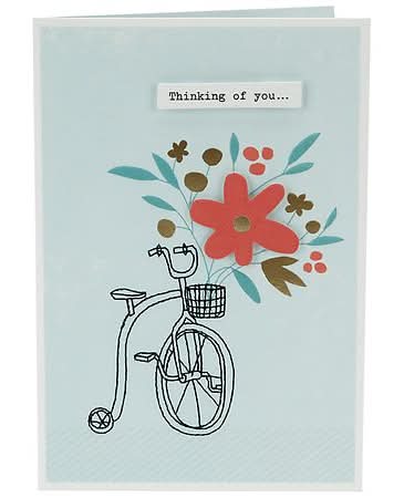 Hallmark Encouragement Card (positive thoughts and feel-good wishes) E24