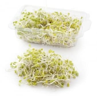 Gerninado de rabanito Fanya 95 g