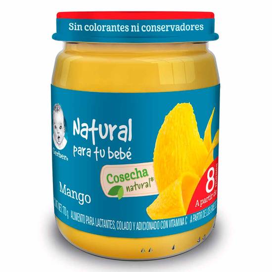 Gerber papilla sabor mango etapa 3 (frasco 170 g)
