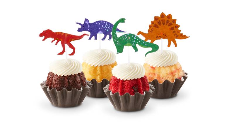 Prehistoric Party Bundtinis® - Signature Assortment and Toppers