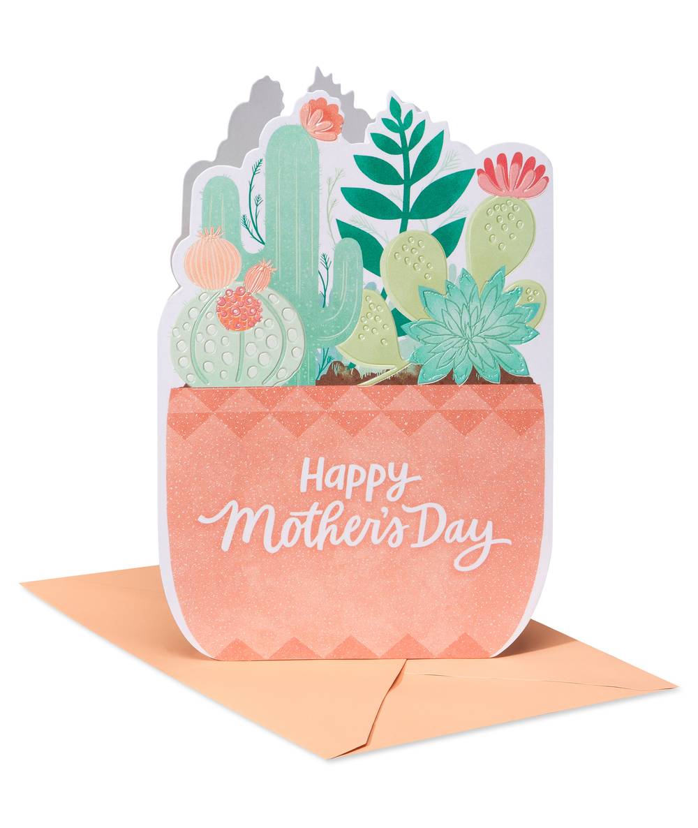 American Greetings Potted Succulent Mother’s Day Card
