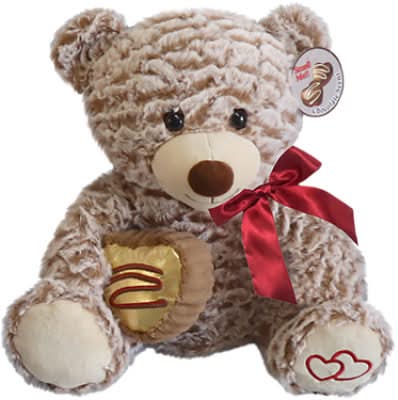 Signature Select Scented Teddy Bear Plush Toy, Chocolate, Light Brown