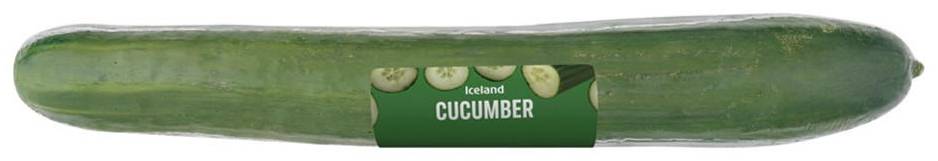 Iceland Cucumber