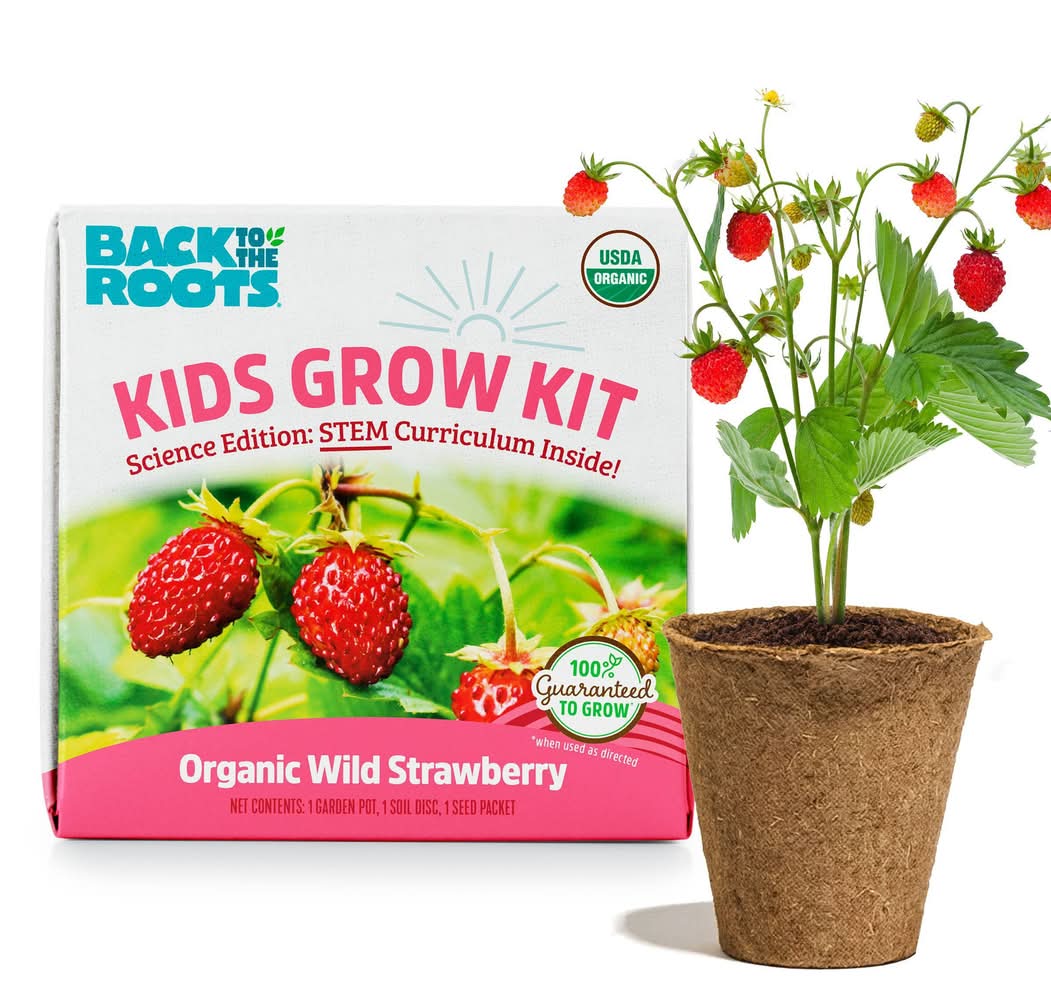 Back to the Roots Organic Alpine Strawberry Kids Grow Kit Science Edition