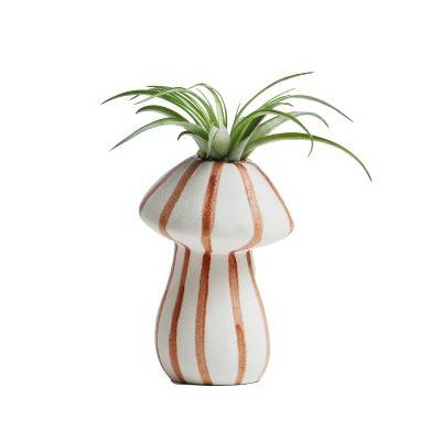 Live Tillandsia Plant in Orange Shroomies Planter