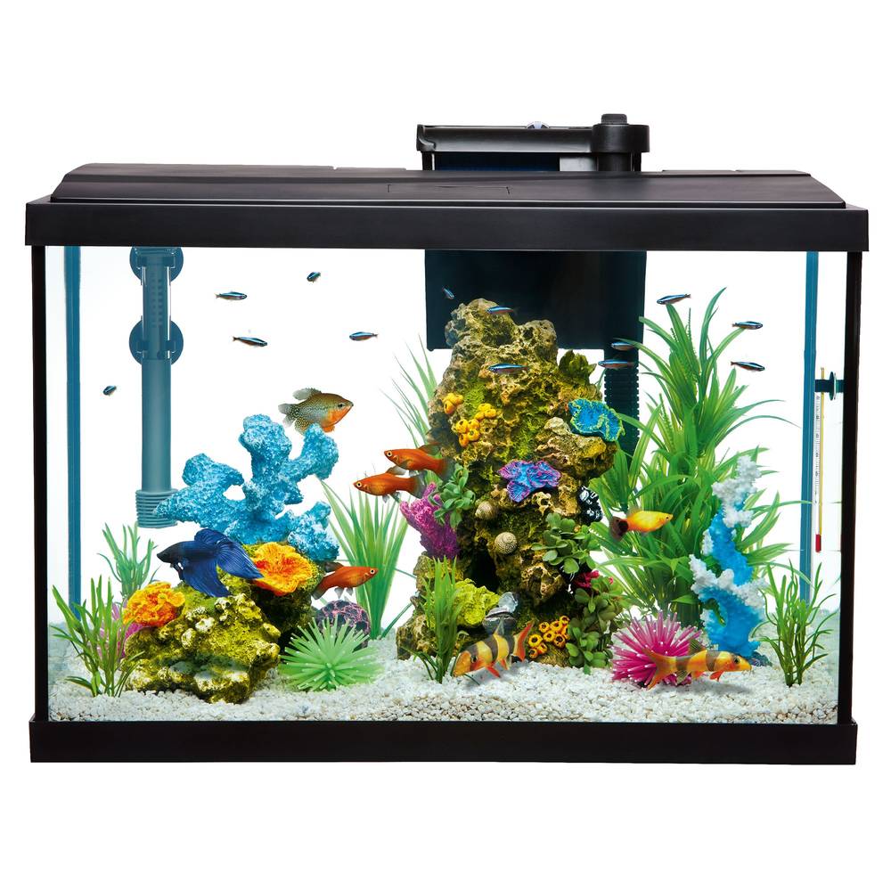 Top Fin® Essentials Aquarium Starter Kit (Size: 20 Gal)