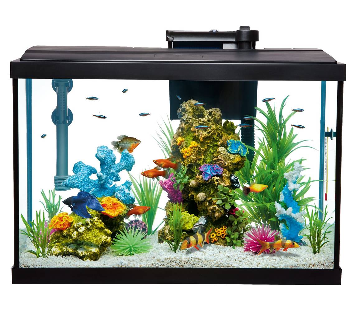 Top Fin Aquarium Starter Kit