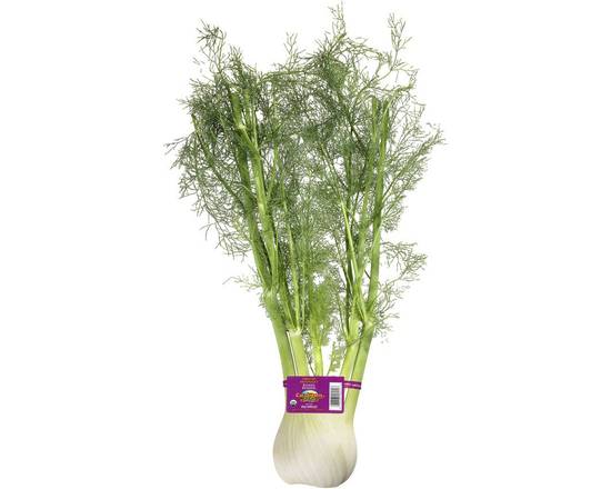 Order Organic Fennel (1 ct) food online from Safeway store, Butte on bringmethat.com