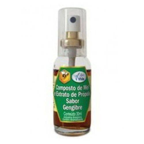 Apis Vida · Composto de mel e extrato de própolis sabor gengibre (30 ml)