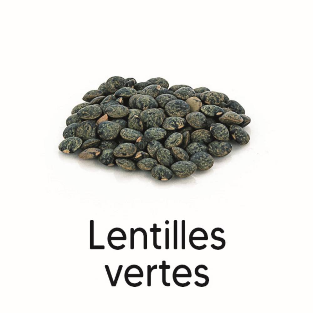 Juste Bio - Lentilles vertes (5kg)