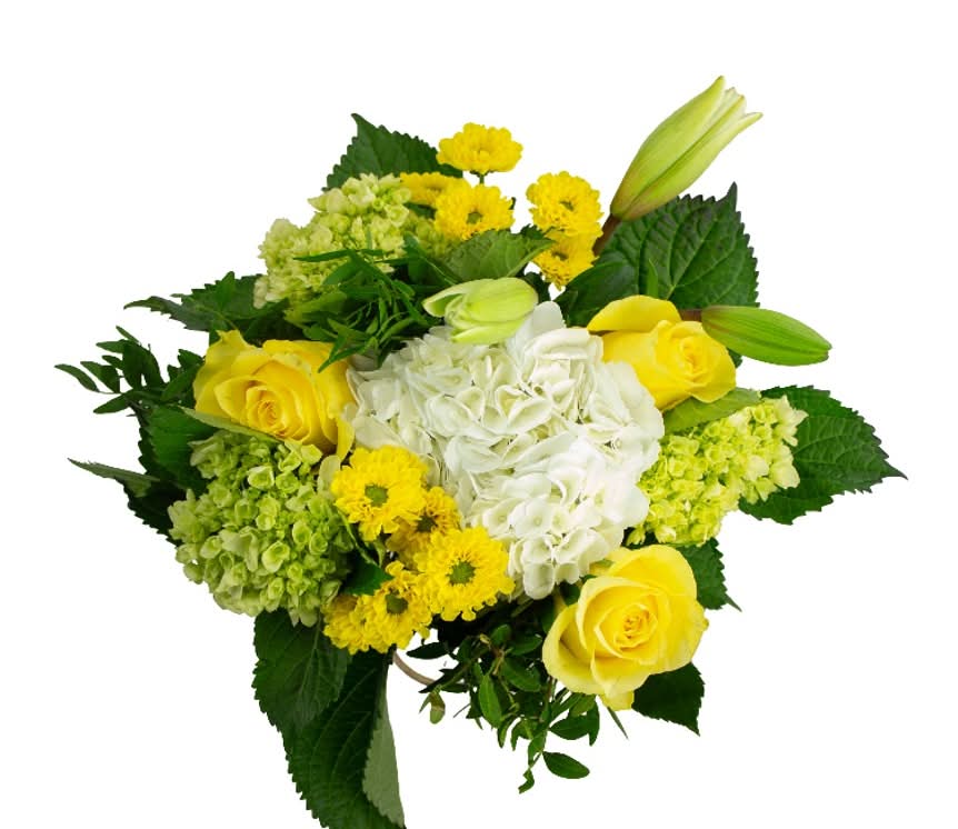 Dierbergs Flowers & Gifts Signature Hydrangea Bouquet (1 ea)