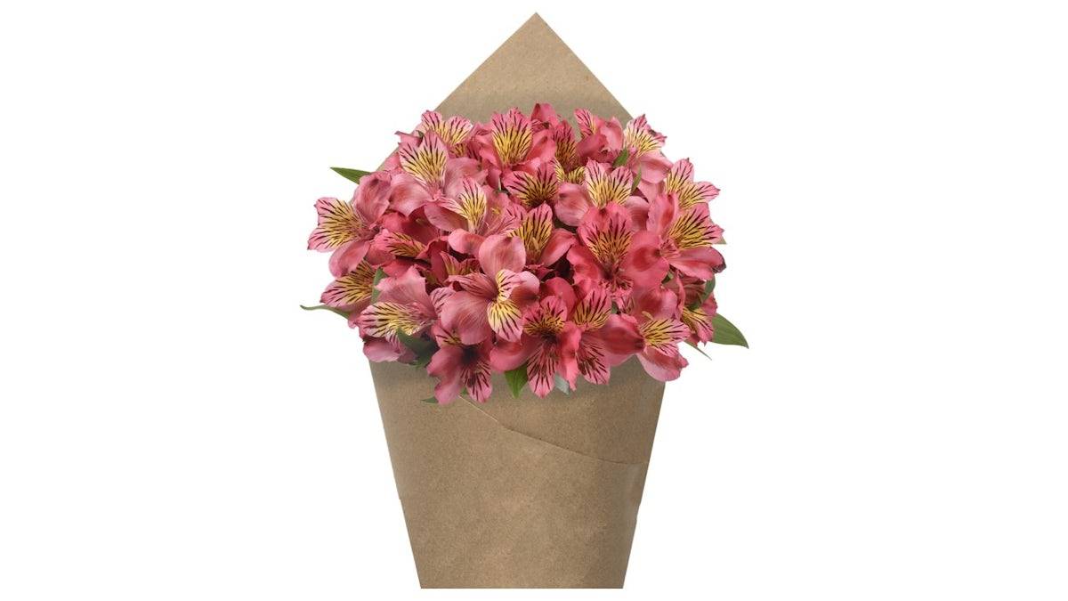 Alstroemeria Bunch - Dark Pink, 6 stem