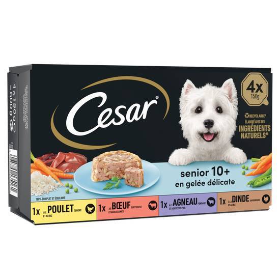 Cesar senior barquettes en gelée pâtée pour chien (4 pcs)